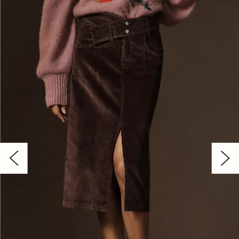 Anthropologie Taupe Skirt - Picture 2 of 3